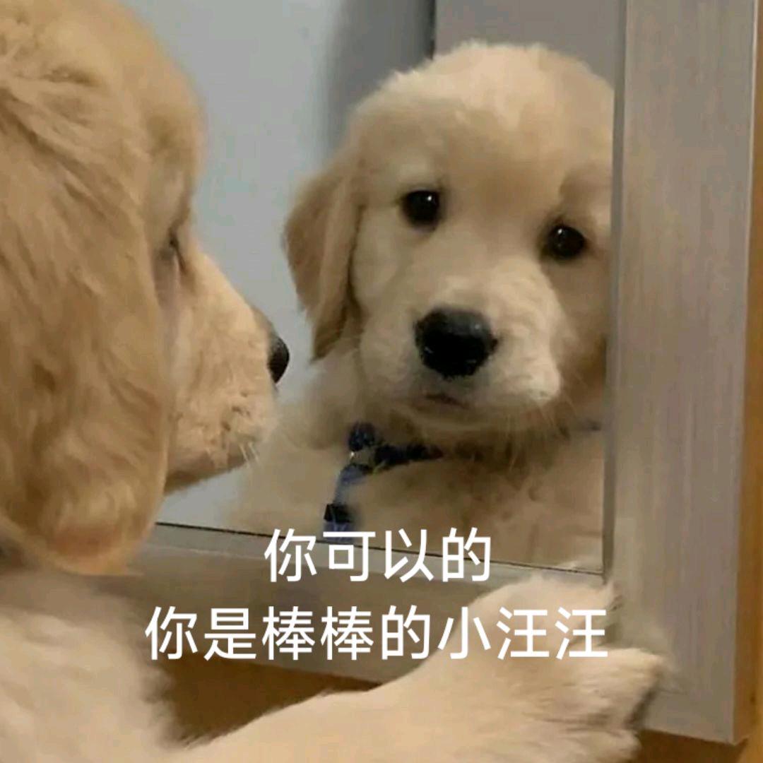 星星也失眠