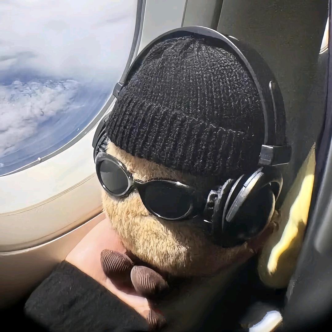 결국 자업자득이다