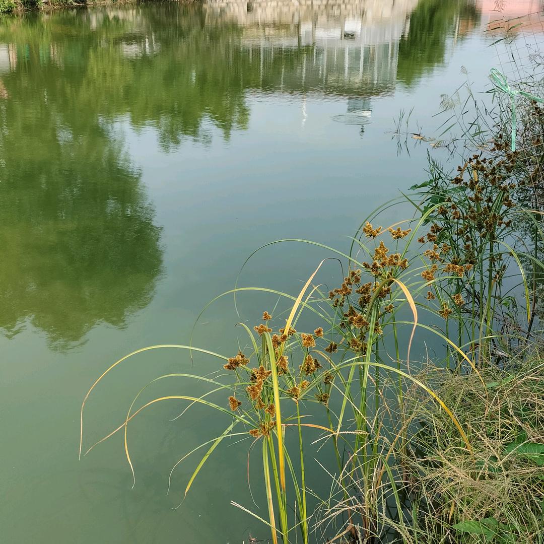 一生平安，幸福伴