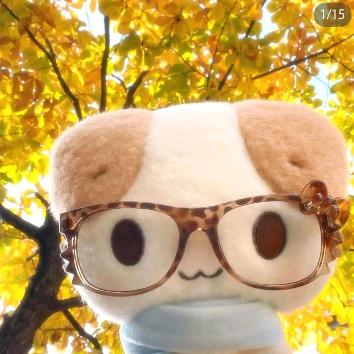 ฅᐞ˶⦁༝⦁˶ᐞฅ