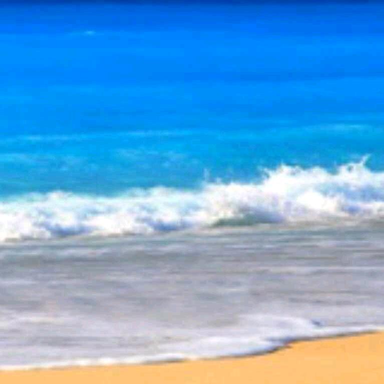 军哥、专业炒面炒粉