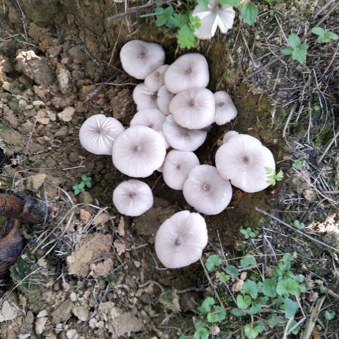 让生活加油