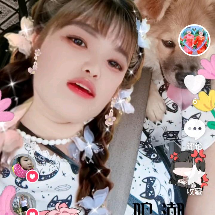 小菊花