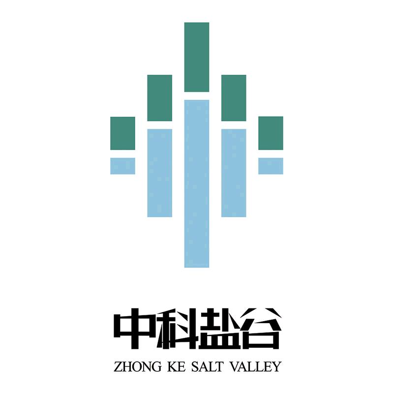 中科盐谷