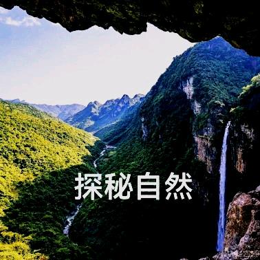 探秘自然