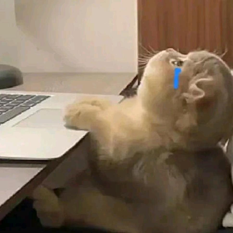 三观