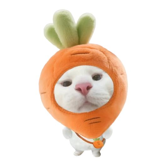 小e不太e