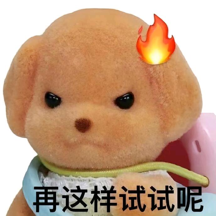 风曾抚过