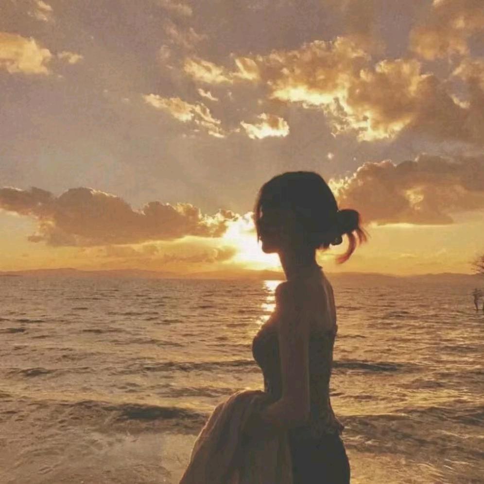 小杨哥好物精选