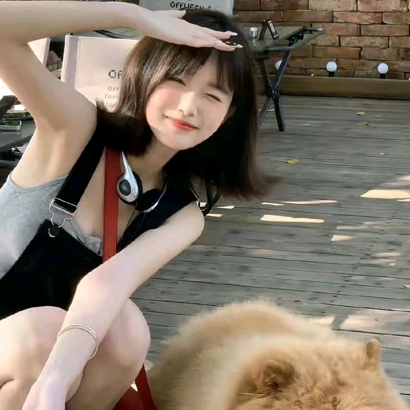 艾谁能懂