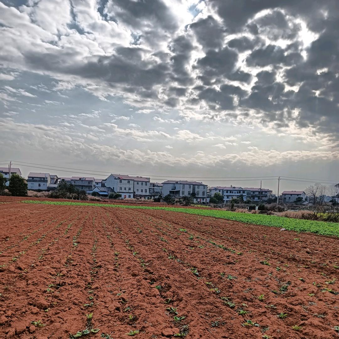 苹果梨💋🧚‍♀️