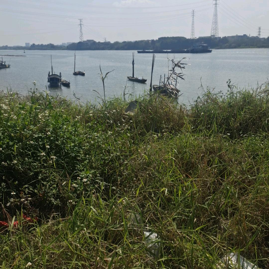 我是你的小情人