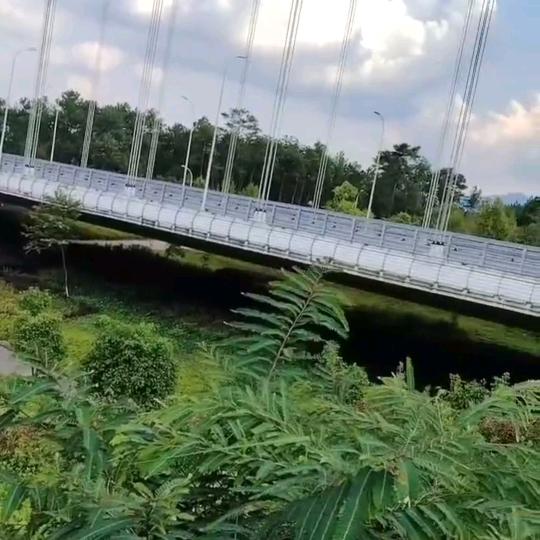 用户4021595098551