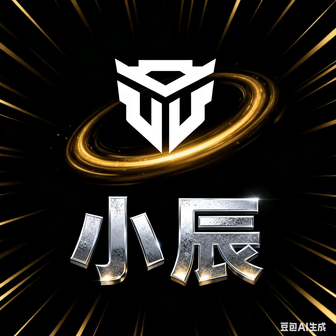 金铲铲（小辰）