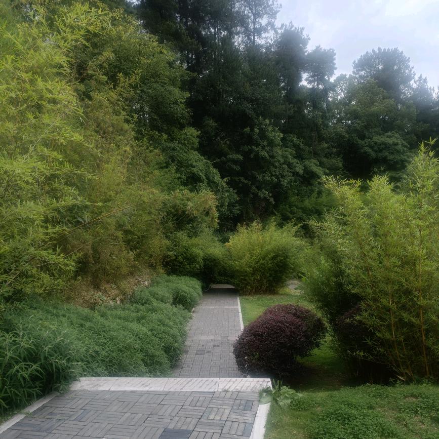 🐉এ᭄如胡ꦿ🦅 添翼꧔ꦿ້໌ᮨ࿐