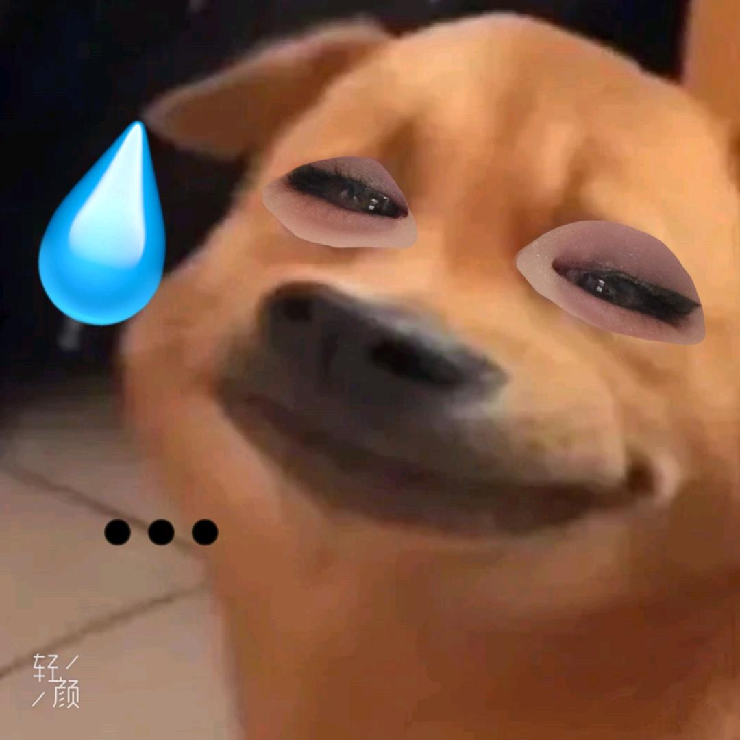 电波羊Sia