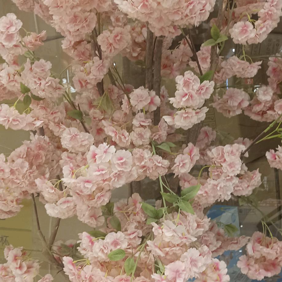 相遇