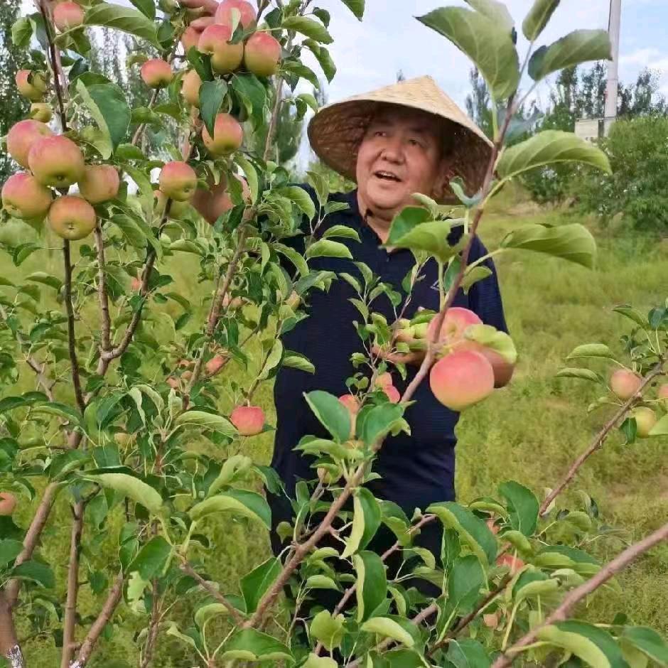 老羊倌儿