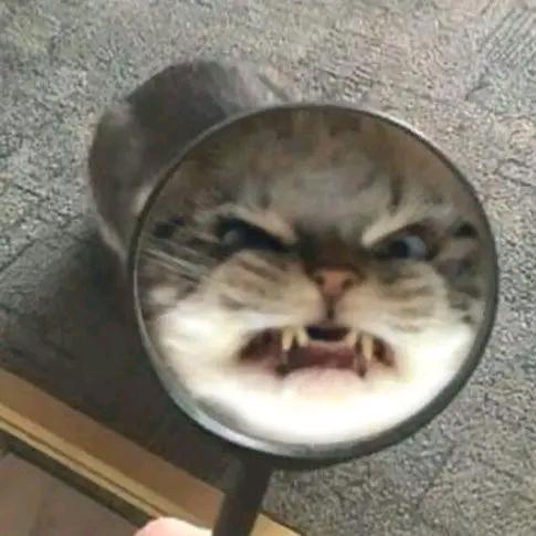 咕噜噜