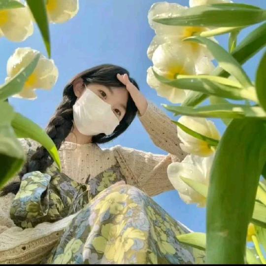 烤鸡翅的小小种子