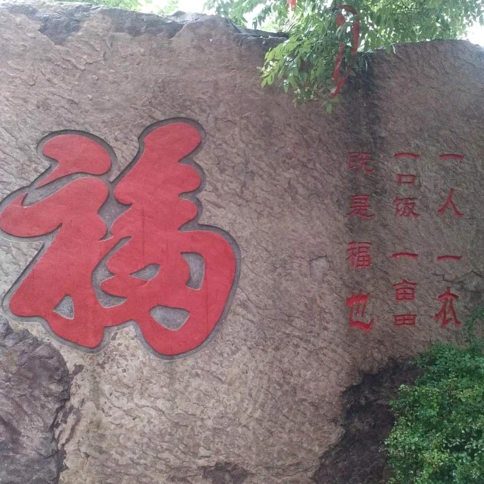 独狼（发展生态有机农业陕西省