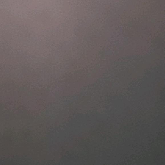 焦桂英