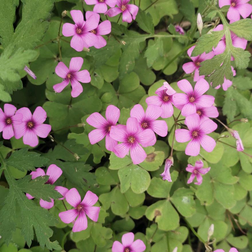 风花雪月ƪ(˘⌣˘)ʃ🥰