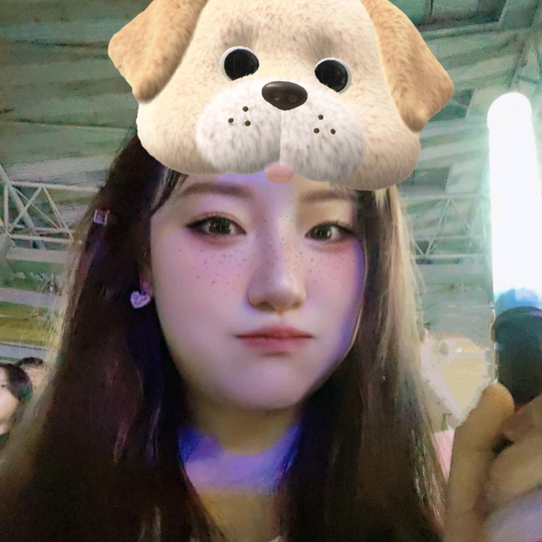 娇娇今天吃了吗