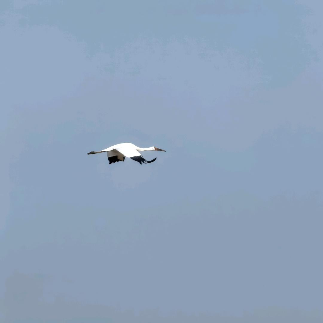 定风波