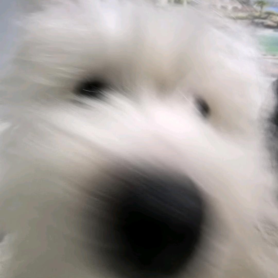 吴.