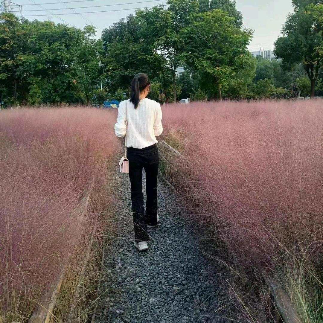 🌈小田田🌈