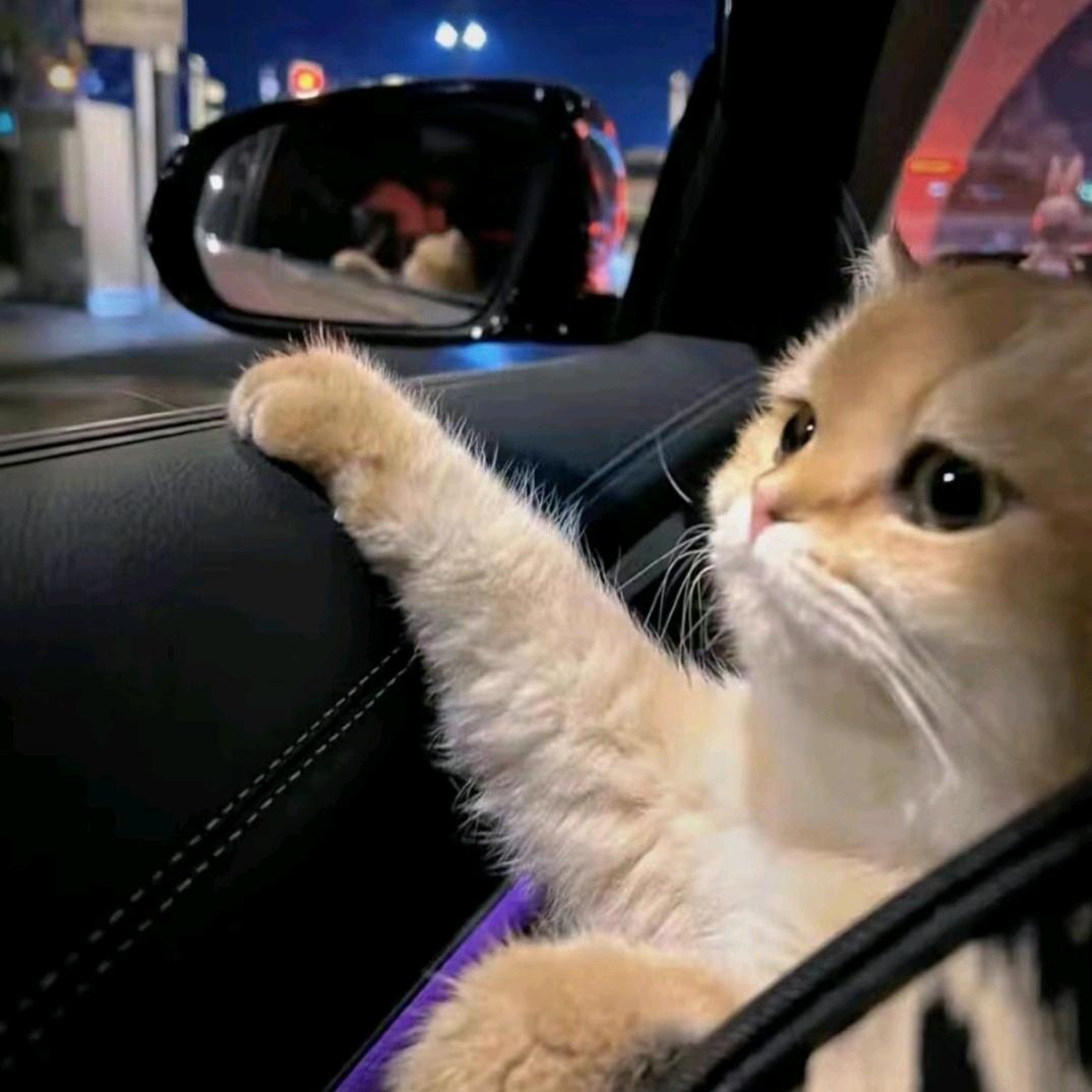 森木百货小店未来