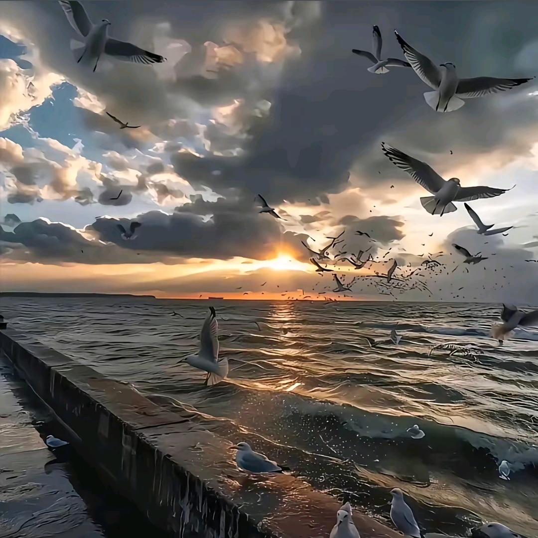 天若有情🇨🇳。