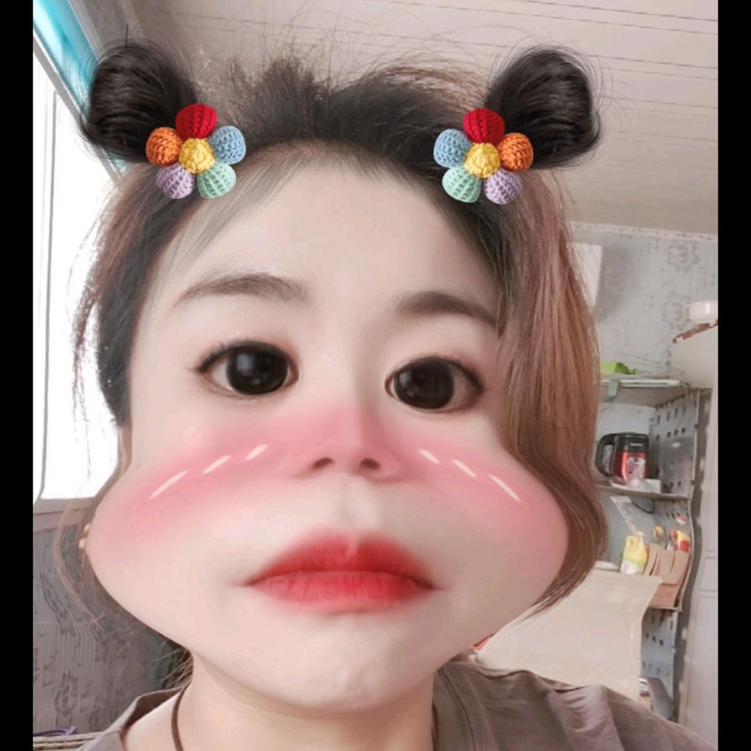 赵崩豆