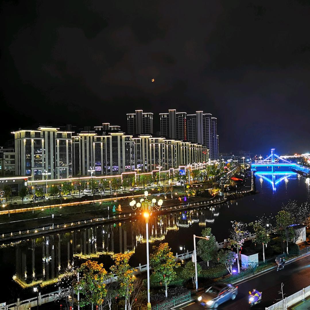 南海一只鸥