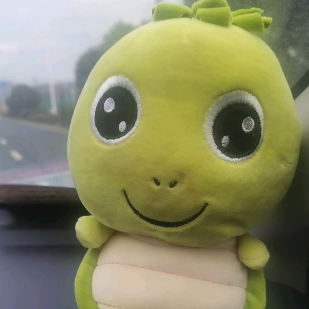 港口苦命打工人