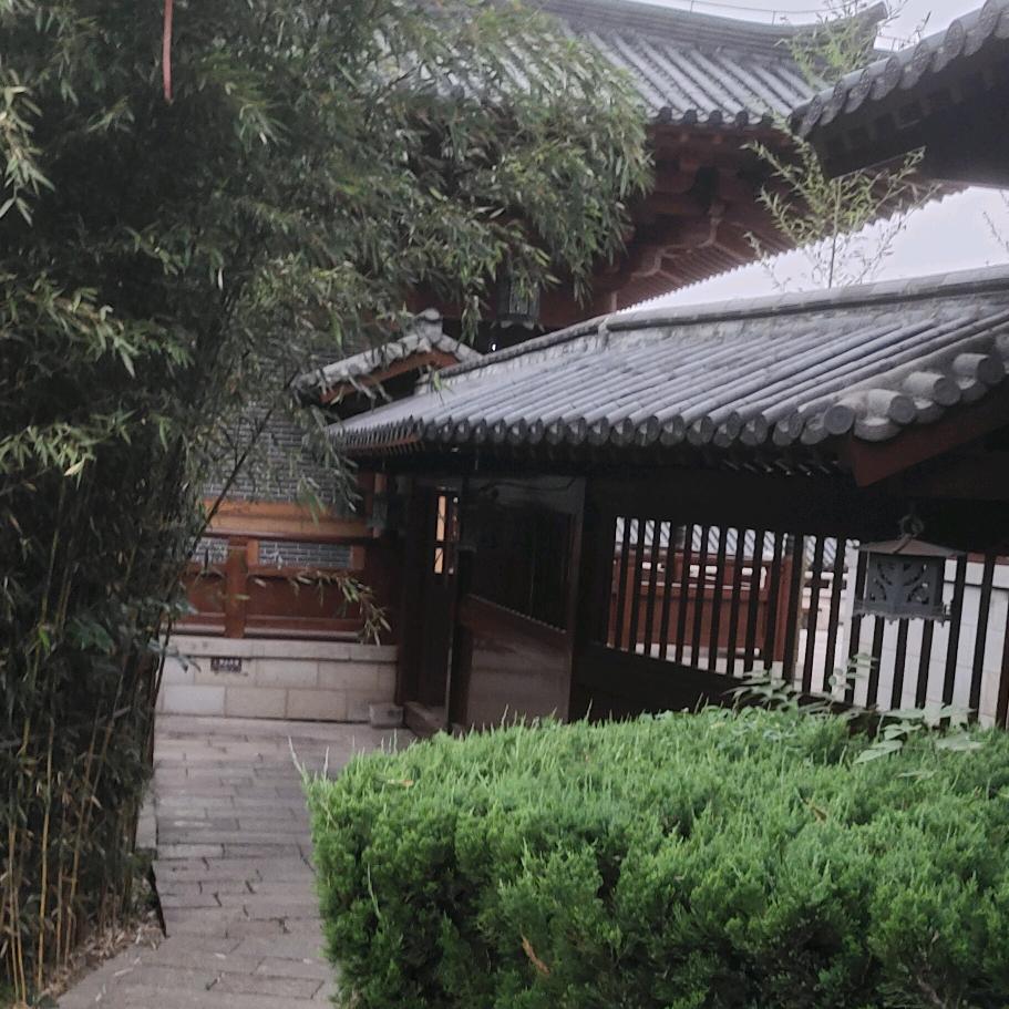 你是哥的小姐姐