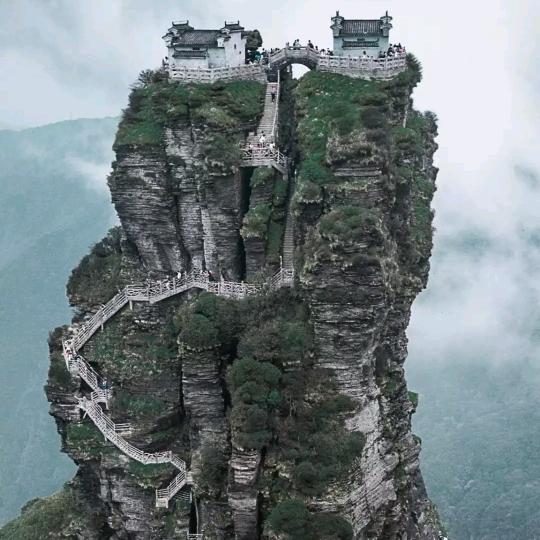 🐉鑫哥