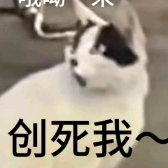 狸狸超快乐（出谷）