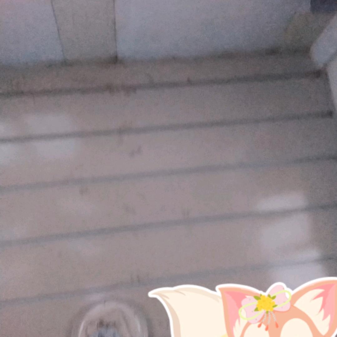 一生相伴