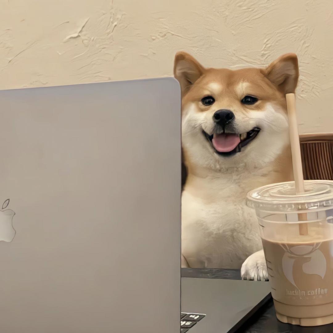 爱吃米老鼠