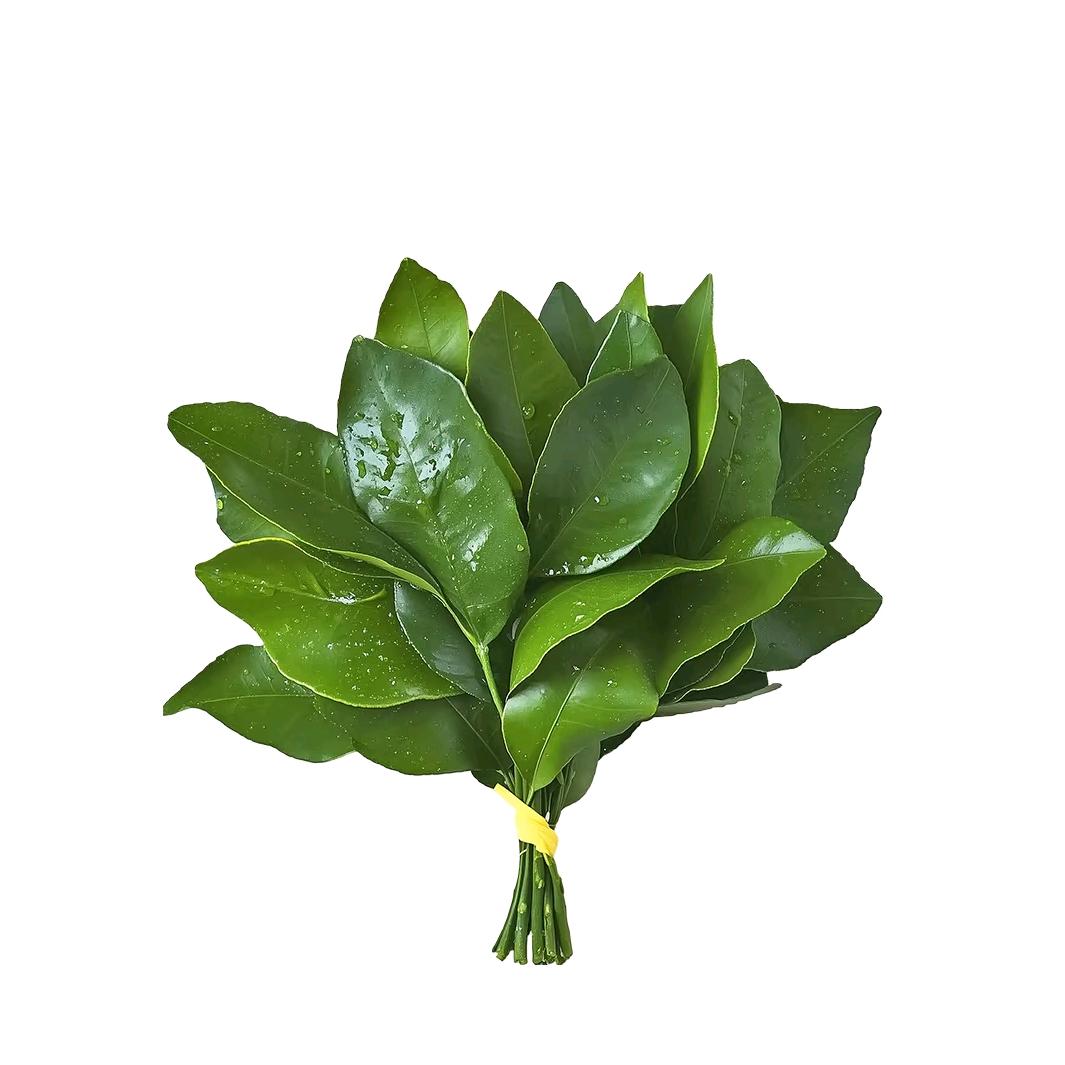 谢元一
