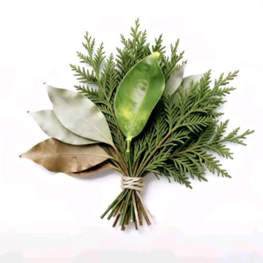 赵露思    • 你的关注