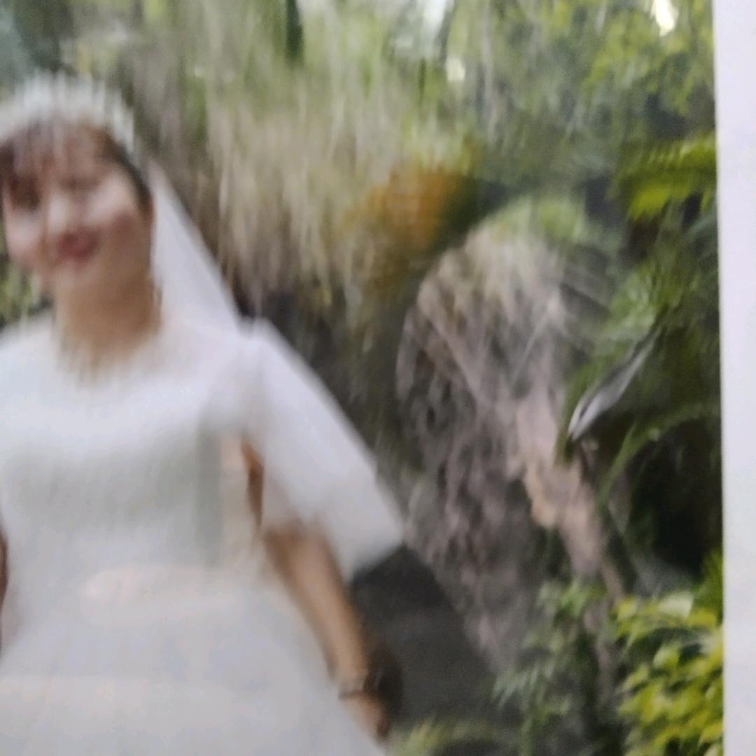 雪儿520