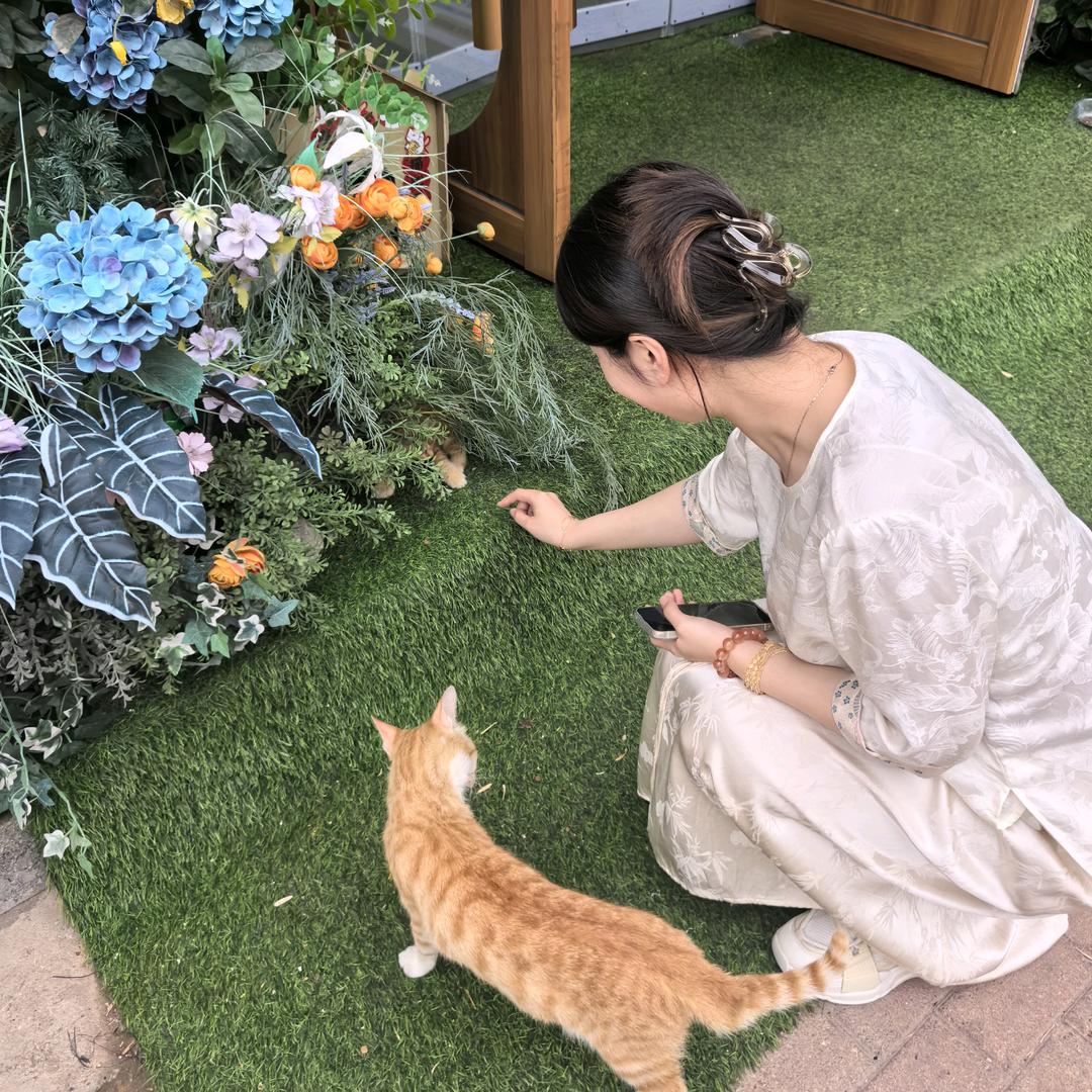 星辰车饰💖
