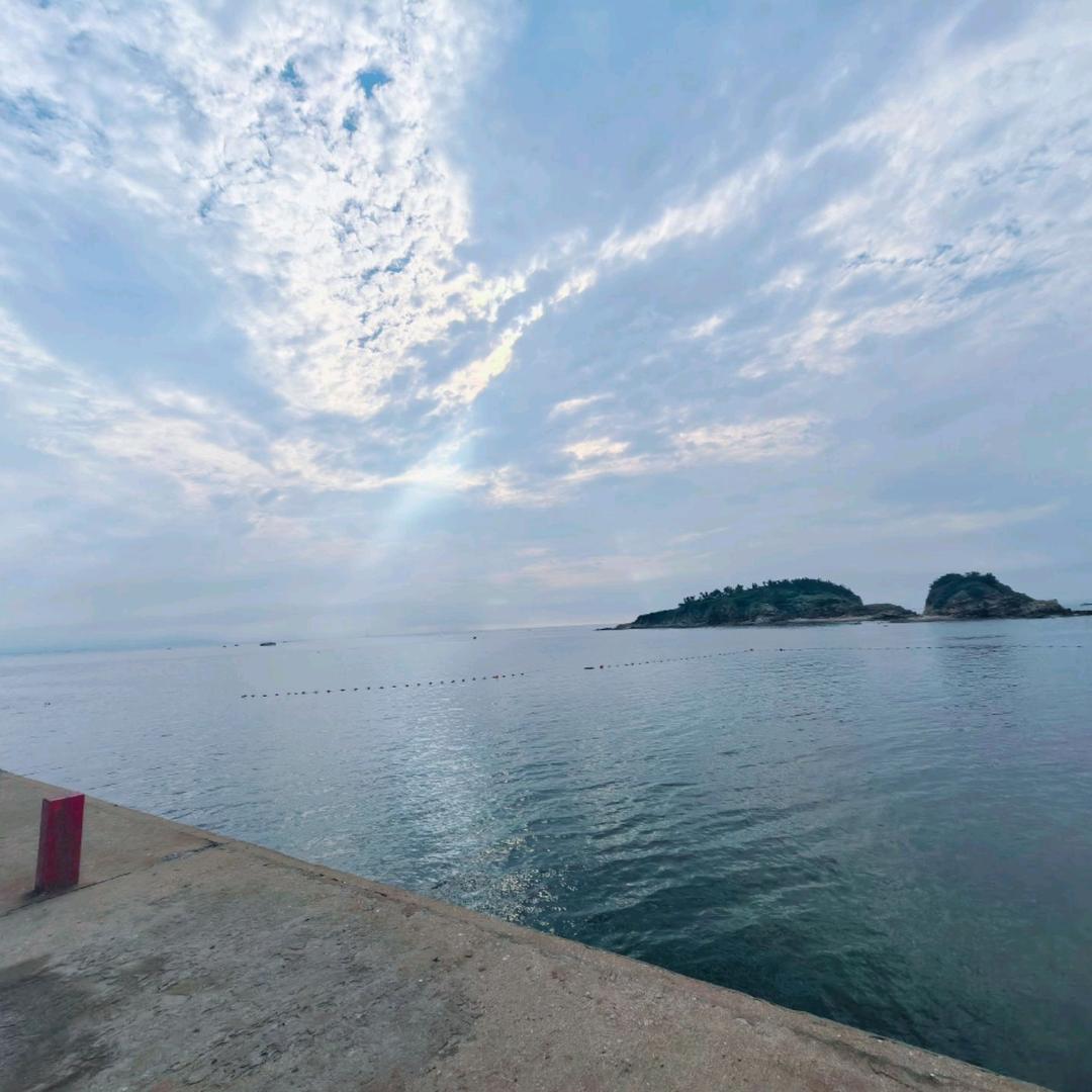 莲花湖里的鲫鱼🐟