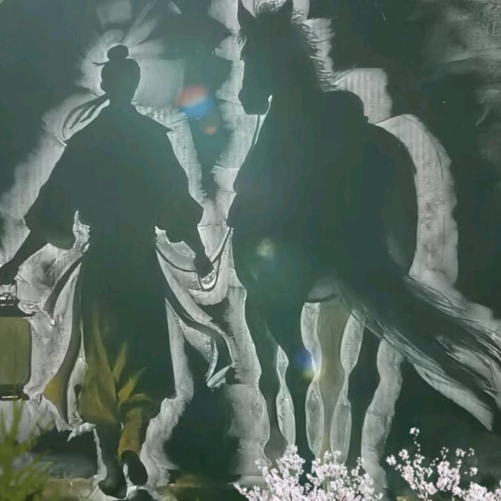 飞易扬
