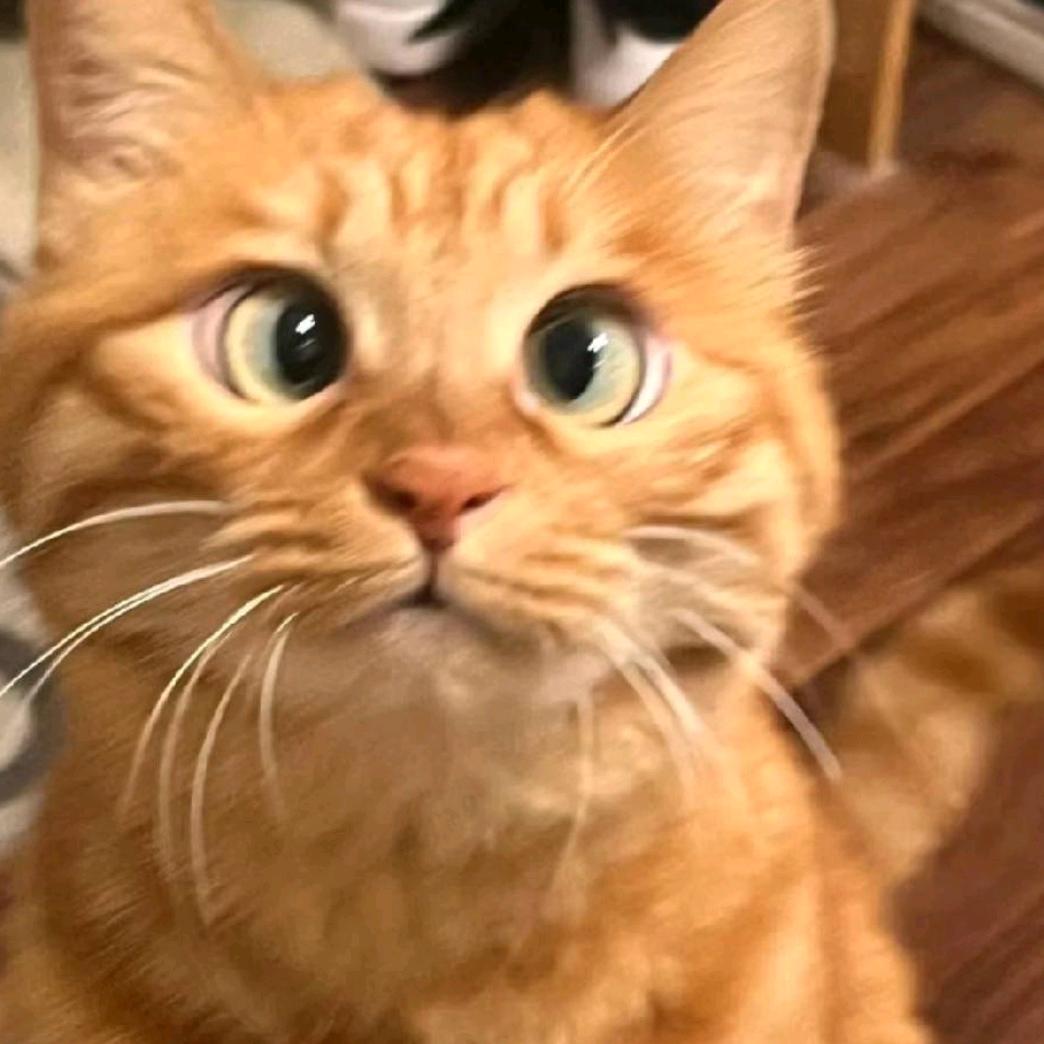 摆烂小🐟