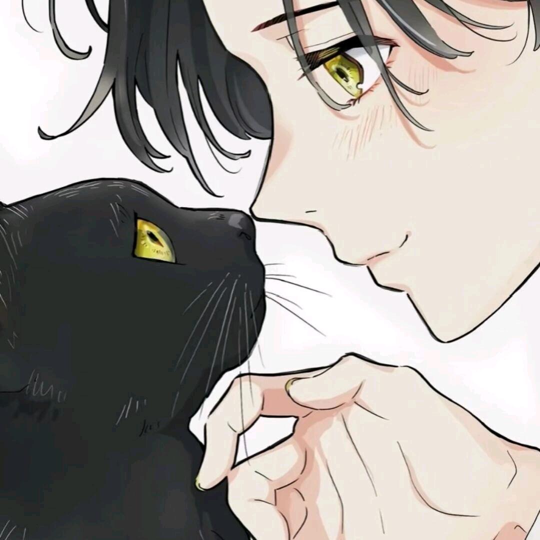 冰橘猫
