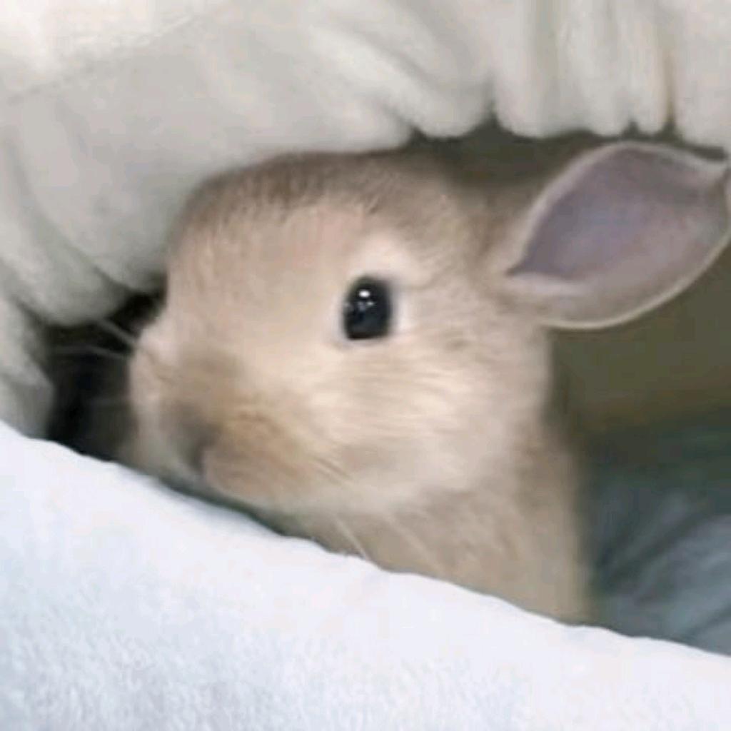 Huuuui